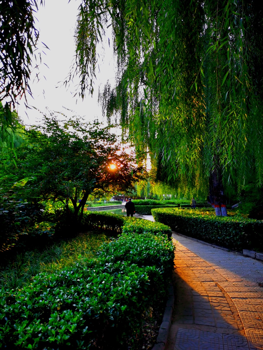 保定一亩泉河畔风光如画2020年10月12日清晨保定市一亩泉河畔风光如画