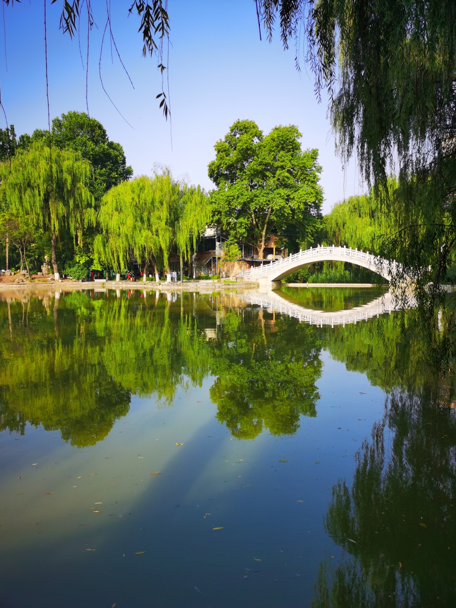 公园一角2020年7月3日公园一角拍摄于陕西西安市长乐公园