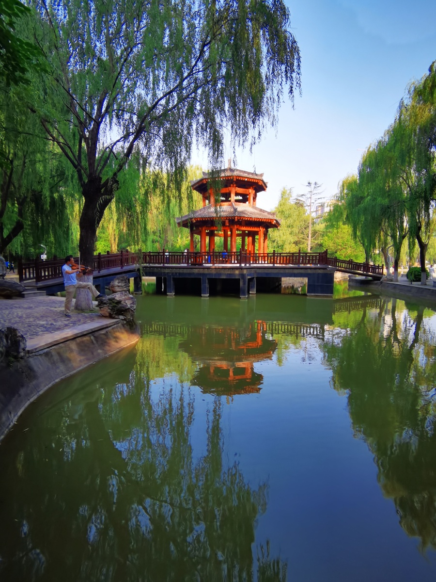 公园一角2020年7月3日公园一角拍摄于陕西西安市长乐公园