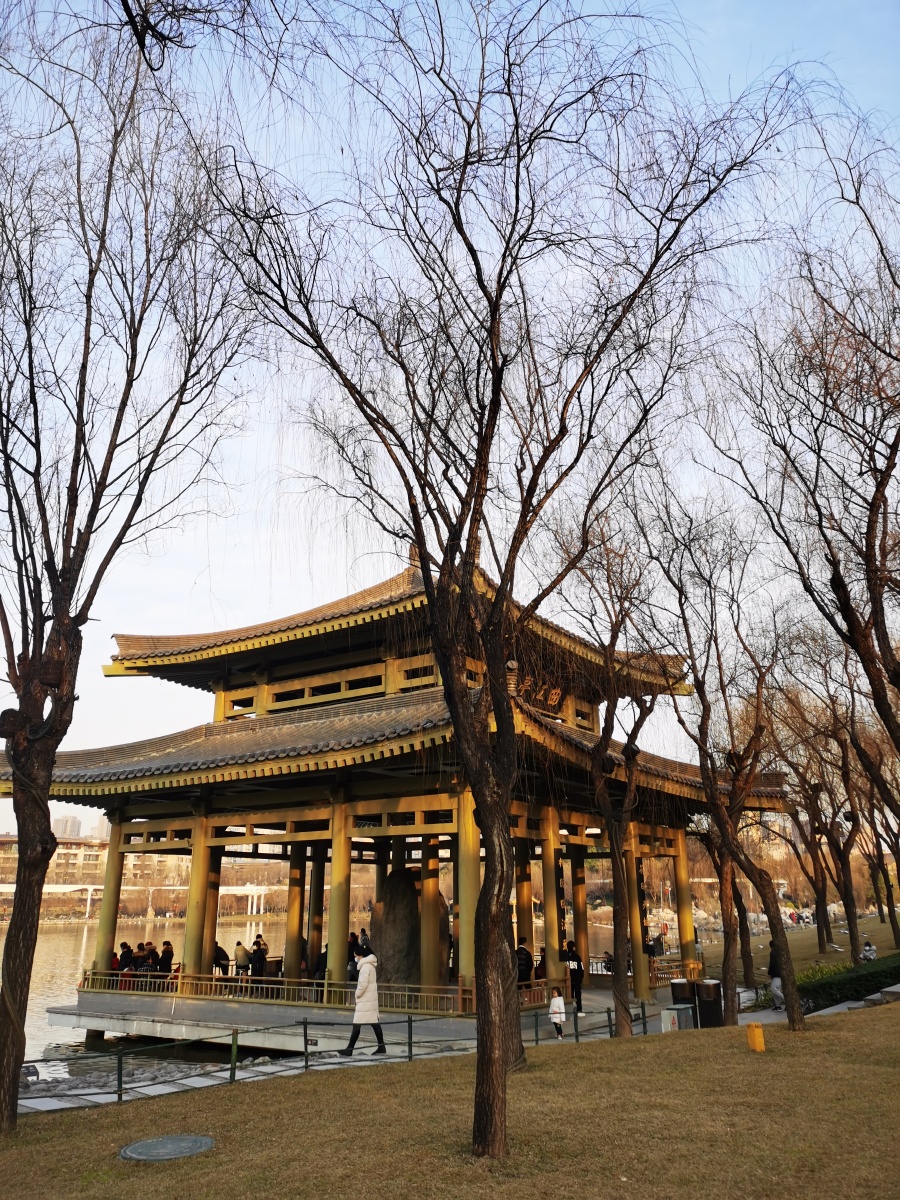 西安曲江池遗址公园冬景2022年2月20日陕西西安市曲江池遗址公园冬景