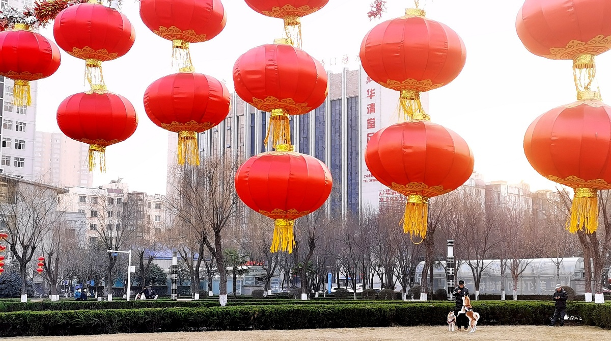 挂灯笼迎新年新年临近陕西宝鸡市的大街小巷挂起中国节红灯笼等节日