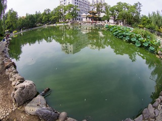 P8084142