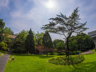 P8084159