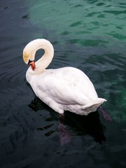 P8030923