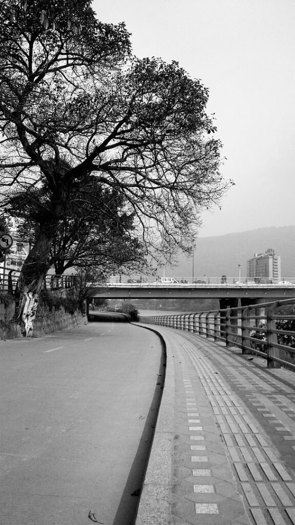 平凡之路