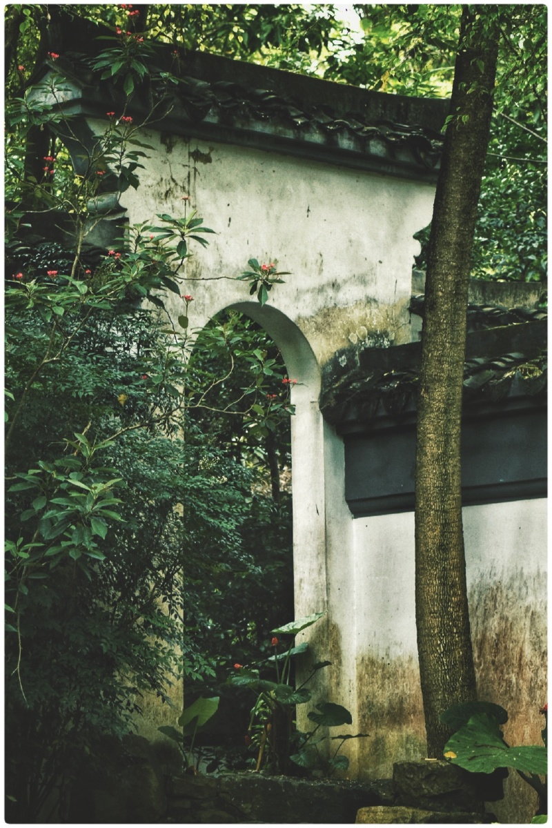 寂寞梧桐深院锁清秋