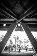 L1003612-2