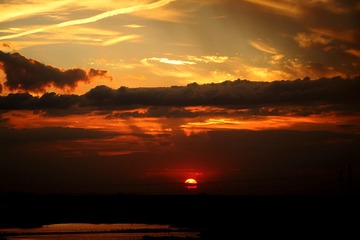 IMG_0220.JPG