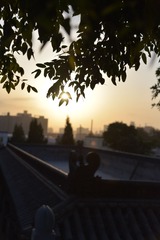 DSC_1896.JPG