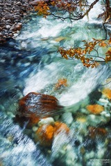 清水流，秋意浓。