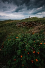 风雨将至