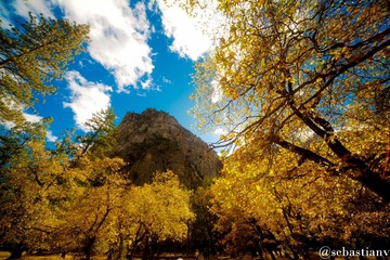 Oct.26 024-1.jpg