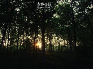 森林公园