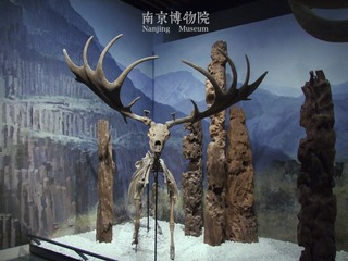 博物院8
