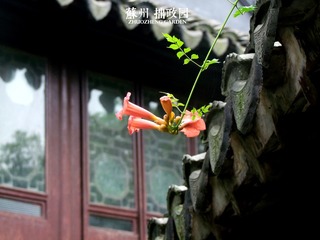 拙政园6