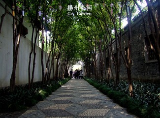 个园8