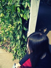 lily1024 2