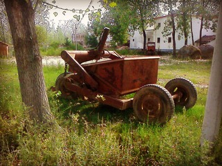 IMG0818090701.jpg