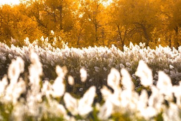 DSC_3551-