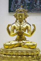 _IGP3156.jpg