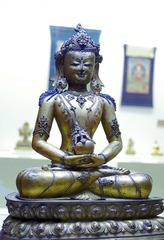 _IGP3164.jpg