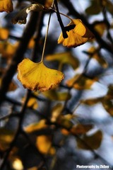 P13004021
