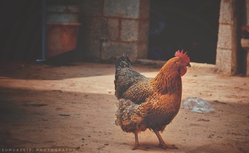 674245