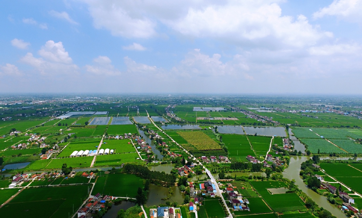 江苏南通海安农村夏日一景嘻嘻嘻嘻