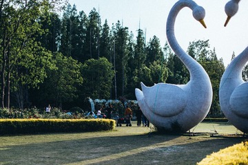 1000180781