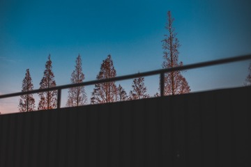 1000170103