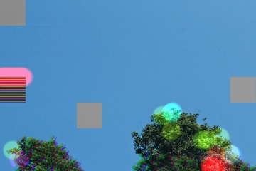 1000181255