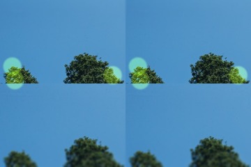 1000181252