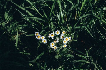 1000180924