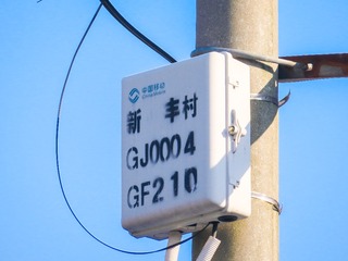 175233