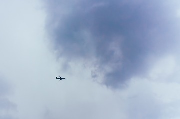 1000185412