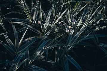 1000180938