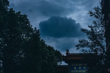 1000190540