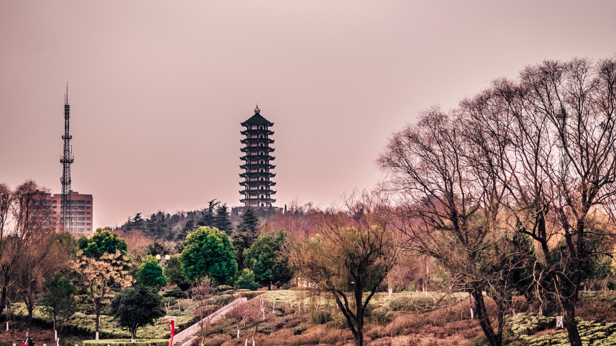 山东临沂兰陵县塔山公园