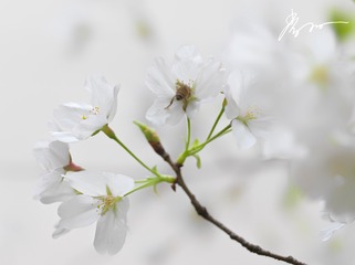 68F2814D-3553-4B34-A2A2-04FADCD70C9A/L0/001