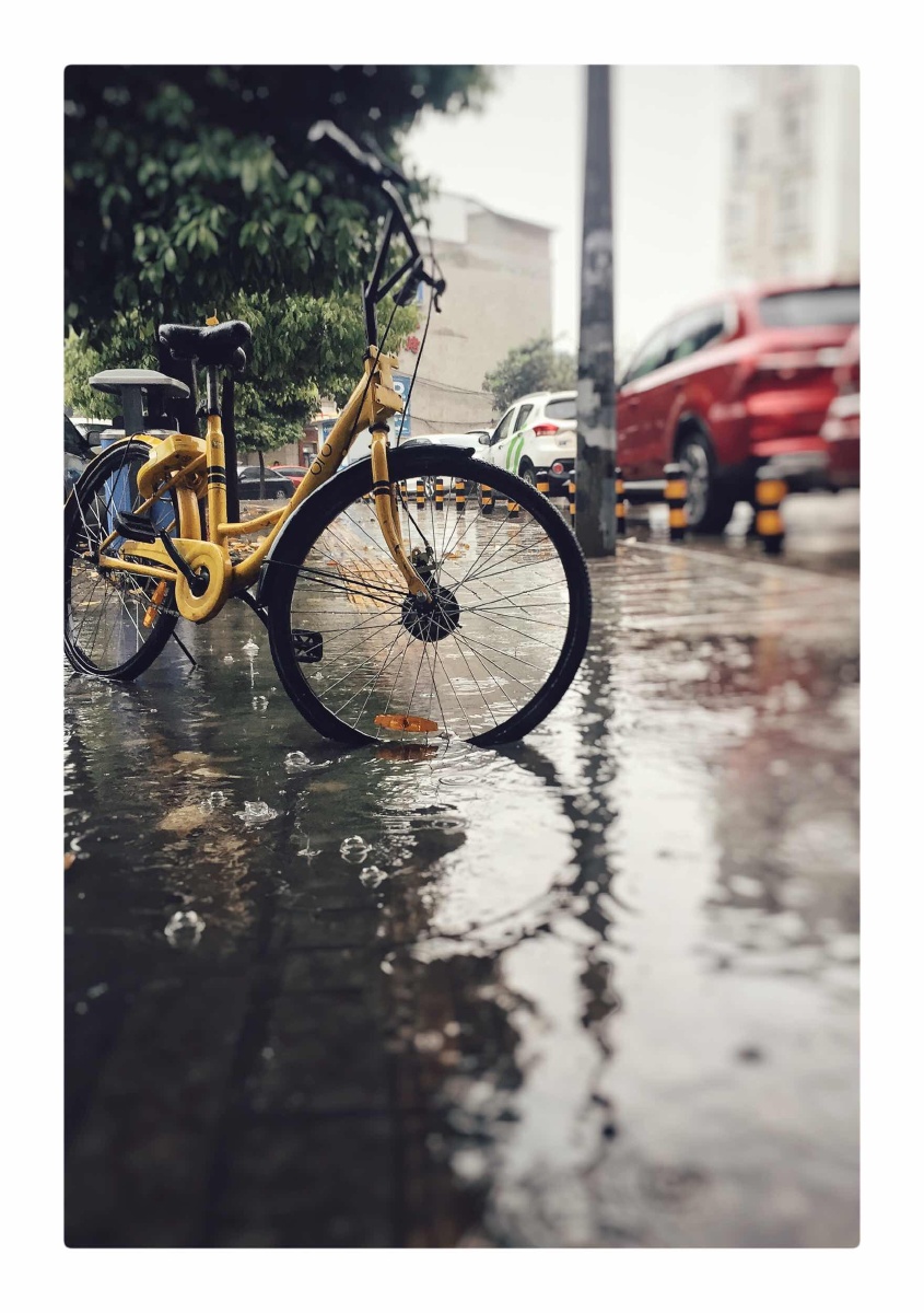 下了一天雨的成都