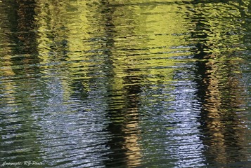 20120625_7009244_Web_650.jpg