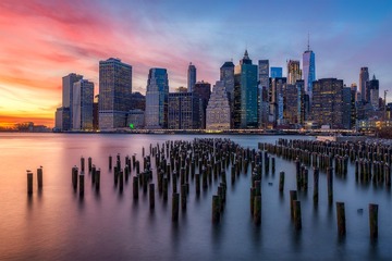 New York brooklyn sunset seagull
