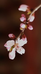 93352CD0-A331-4121-A2CB-5CCF9F41B48A/L0/001