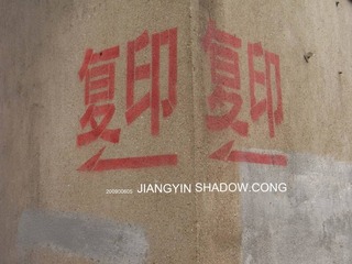 3377674_118229124.jpg