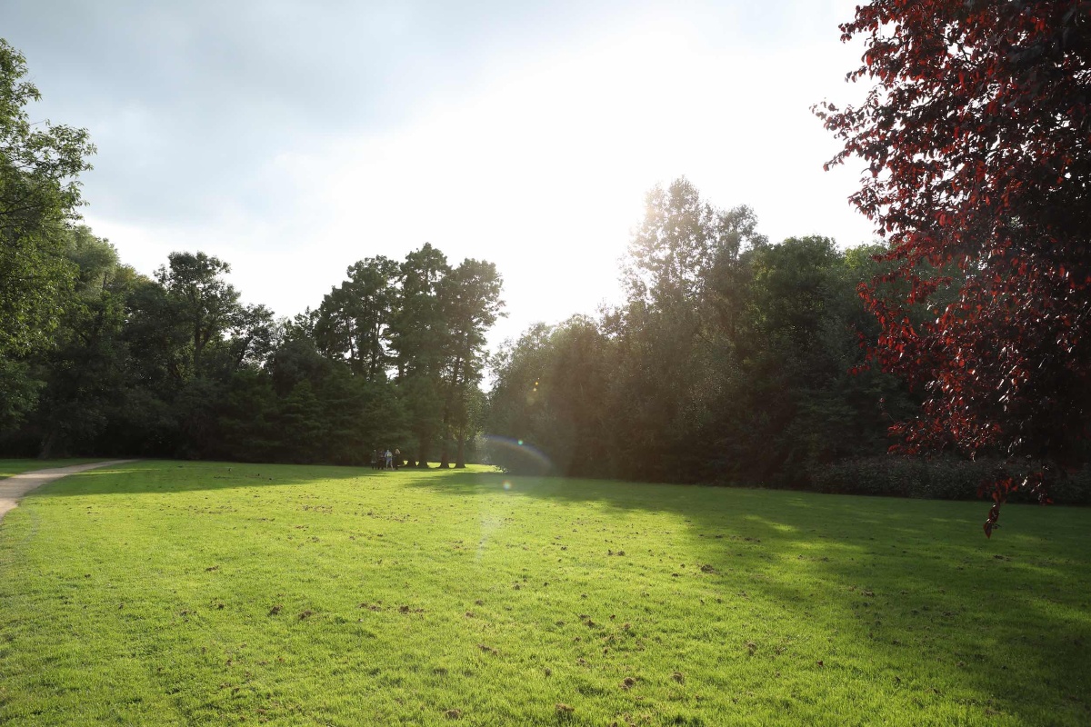 美如画绿植风景原片树林草坪逆光喷泉壁纸