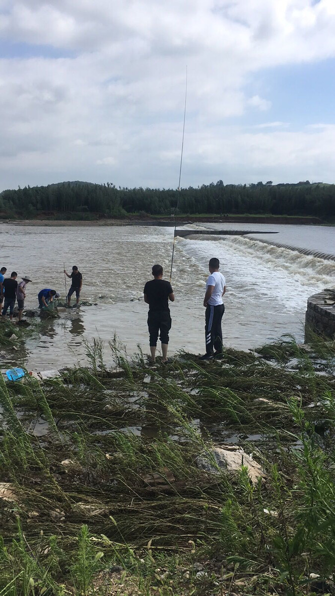 贵州鲟鱼苗养殖基地,网络养殖怎么养鱼