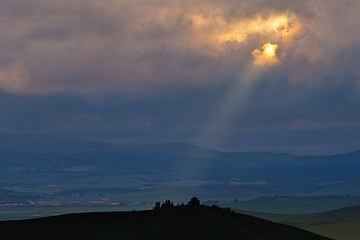 _XY_1353