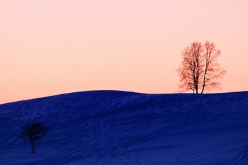 Ice&Fire_11