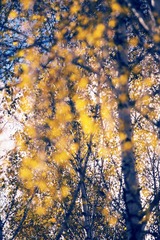 _XY_6860