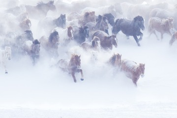 雪中疾行